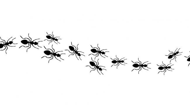 如何画蚂蚁搬家的简笔画图片