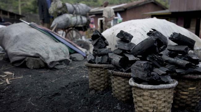 生存战争木炭怎么做