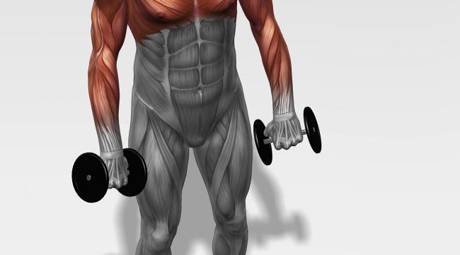 怎么练出全身肌肉