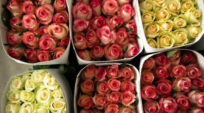 花店卖的玫瑰花可以食用吗