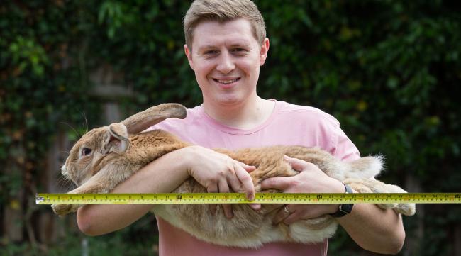 兔子的身高和体重多少