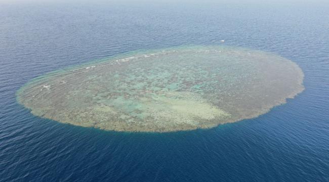 大洋里有很多礁盘可以造岛吗英语