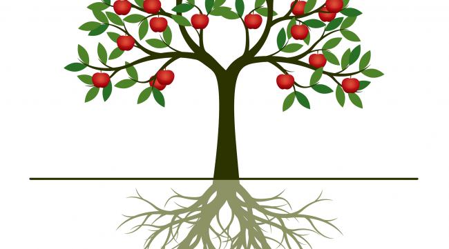 苹果有root吗